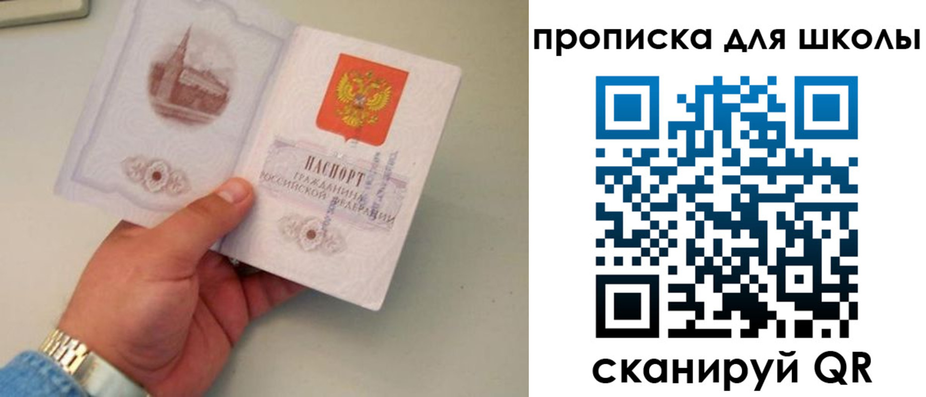 временная регистрация поиск в Благодарном
